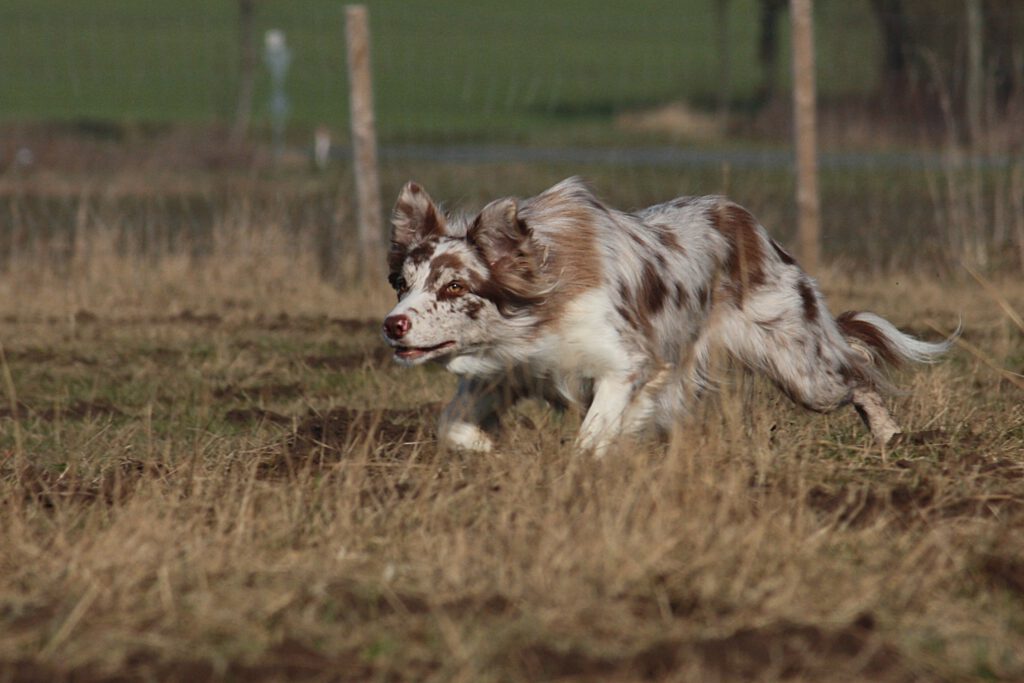 Gillian+Noodles-2.3.13 352